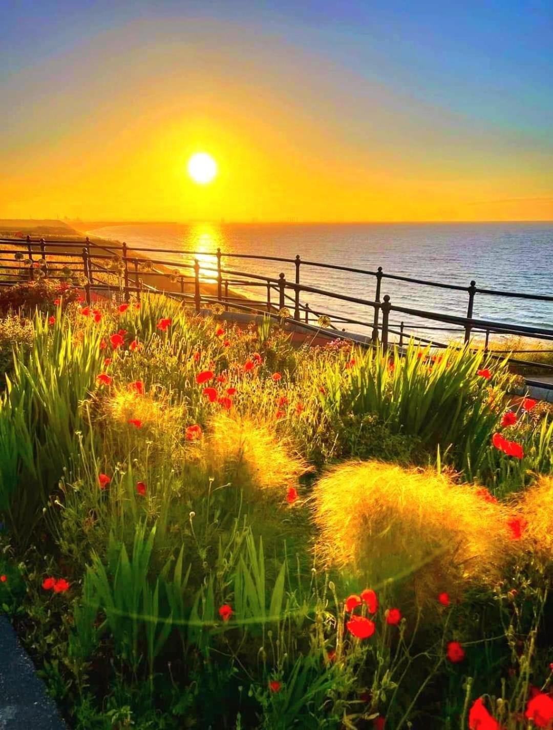 Captain'S Deck Beach Balcony Perfectlysaltburn Buitenkant foto